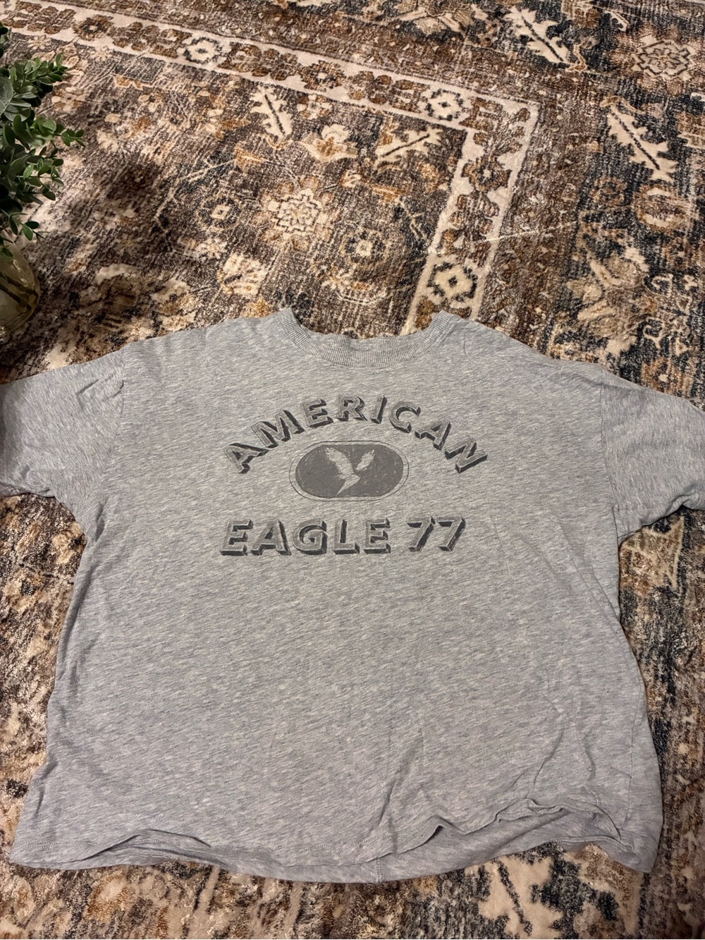American Eagle Outfitters Gray Graphic Short Sleeve Tee
